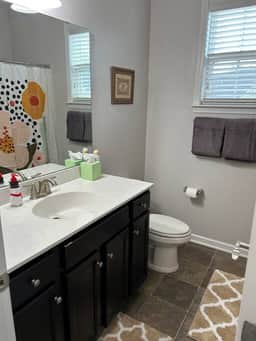 Game Room & Pet-Friendly House Near AVL Airport - Image 3